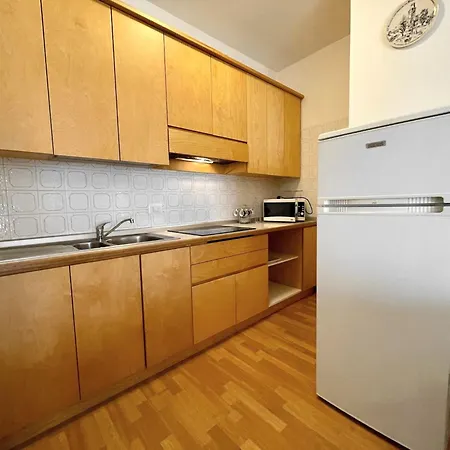 Spacious Flat Near The *